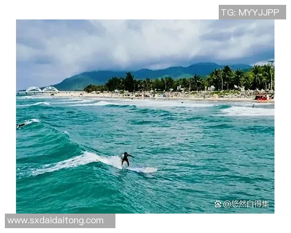 极限运动新手指南：从零基础到高手的全方位意识提升攻略