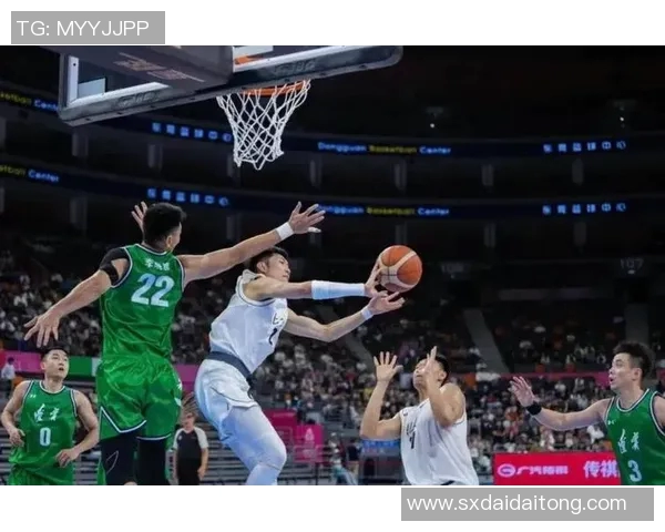 2013年北京与辽宁篮球对决回顾：激情碰撞与赛场传奇的交汇